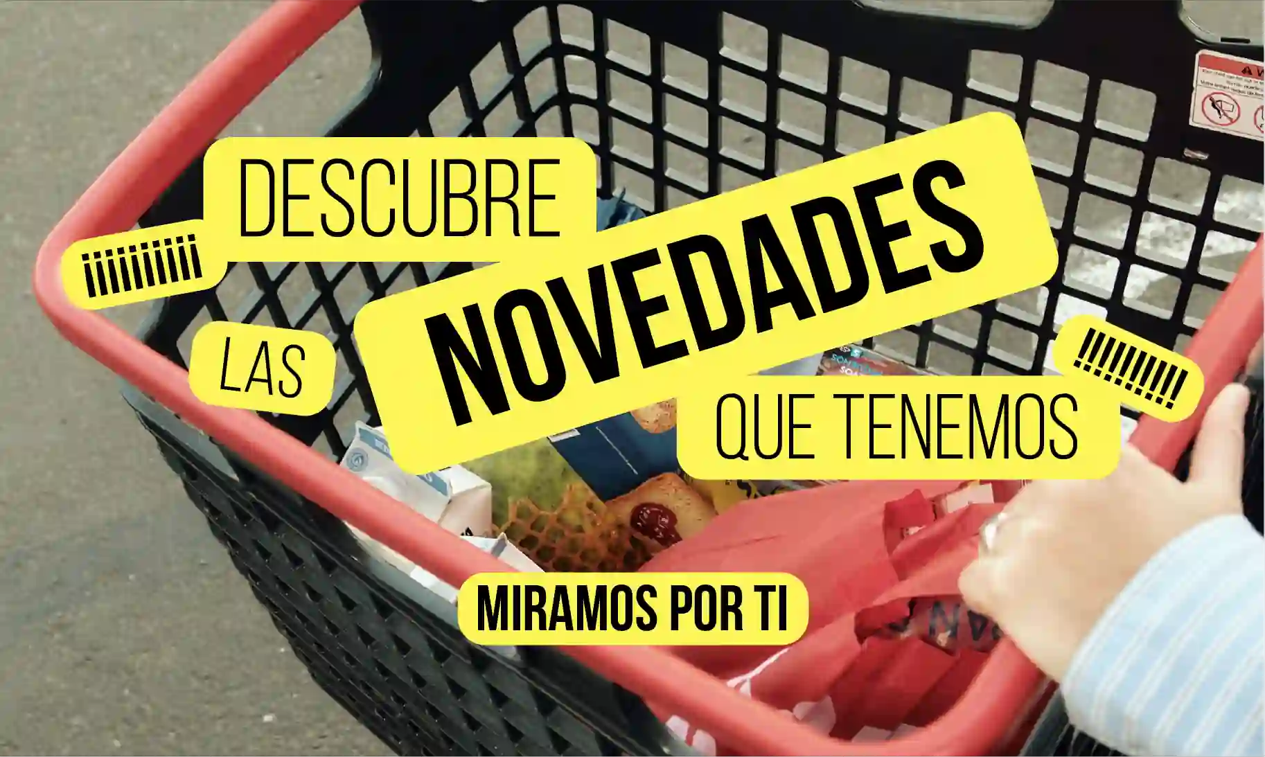 Novedades