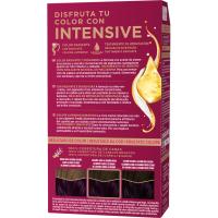 Tinte Intensive N.4.99 violin PALETTE, caja 1 ud