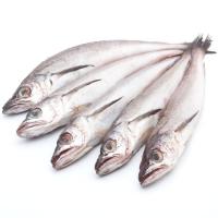 Pescadilla americana, al peso, compra mínima 500 g