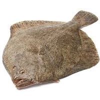 Rodaballo, pieza al peso aprox. 1.8 kg