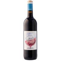 Vino Tinto Mencía D.O. Monterrei SABOR A TI, botella 75 cl