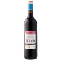 Vino Tinto Mencía D.O. Monterrei SABOR A TI, botella 75 cl