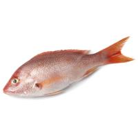 Pargo, pieza al peso aprox. 500 g